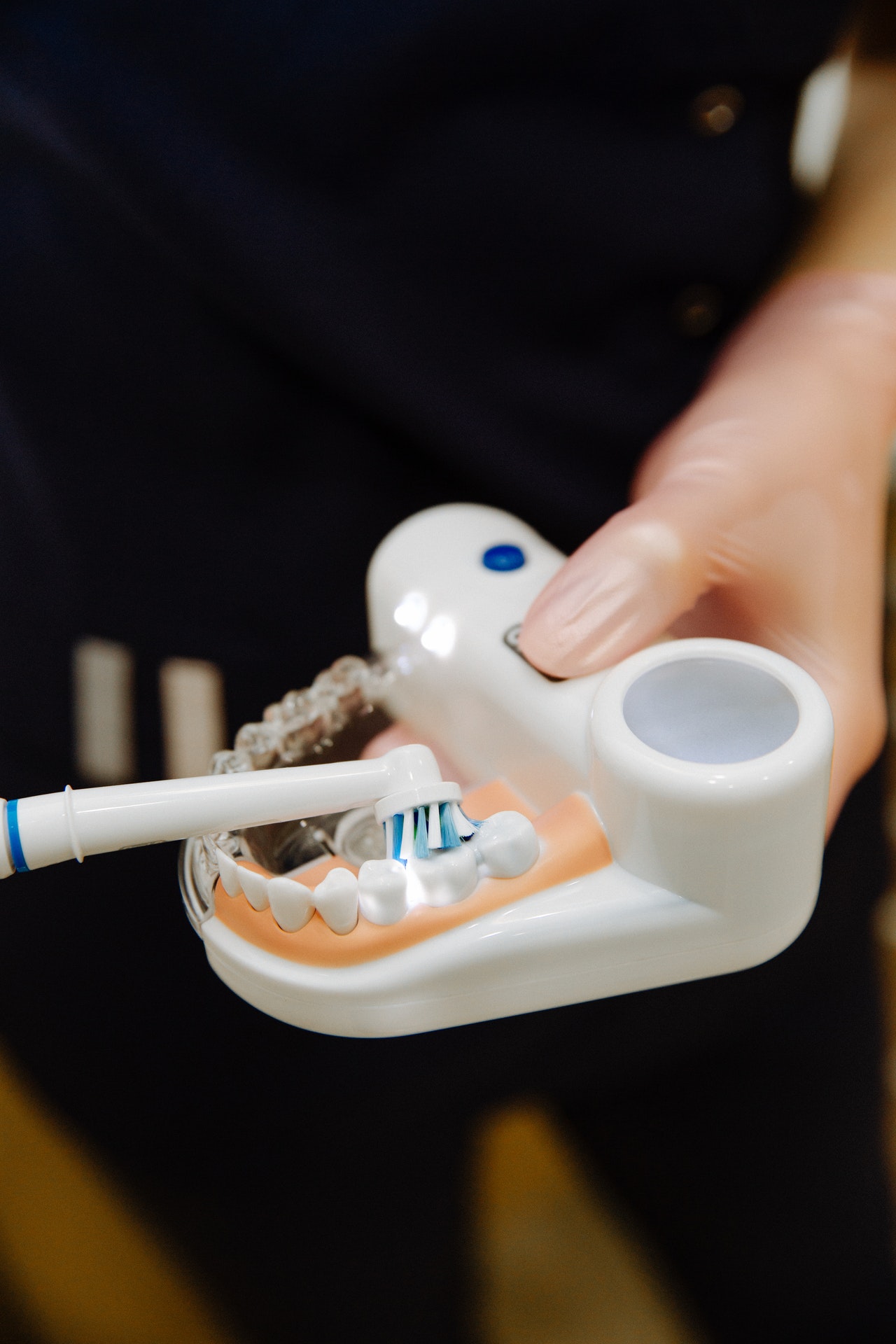 A dentist brushing a set of artificial teeth